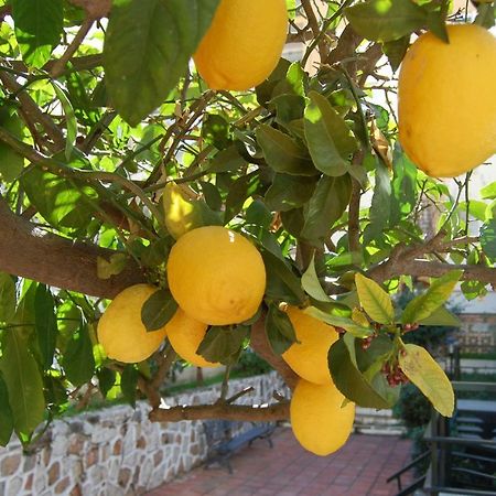 Apartament El Limonero Fuengirola Zewnętrze zdjęcie